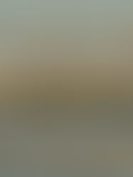 La recuperación de Doñana es frágil y temporal