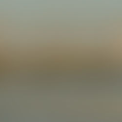 La recuperación de Doñana es frágil y temporal