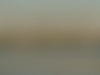 La recuperación de Doñana es frágil y temporal