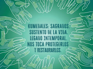 Día Mundial de los Humedales: el ecosistema más amenazado del planeta llega al límite
