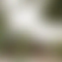 Una casa que se funde con el bosque y el mar