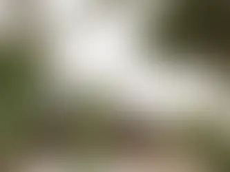 Una casa que se funde con el bosque y el mar