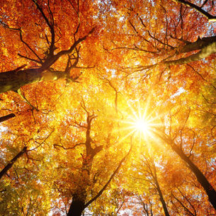 Otoño más cálido tras el verano más extremo