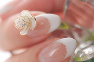 ローズホワイト (3).jpg