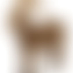 Unpacking The Backcountry Acquisition