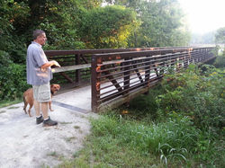 Little Blue Trace Trail.jpg