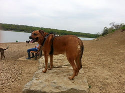 Shawnee Mission Park.jpg