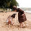 Miniature : Bonnet Family