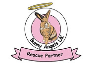 Bunny Angels partner.jpg