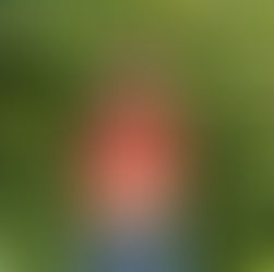 Meet Shiri: The Passionate Baker Behind Oogi Artisan Cookies