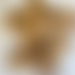 Kitchen Sink Cookies