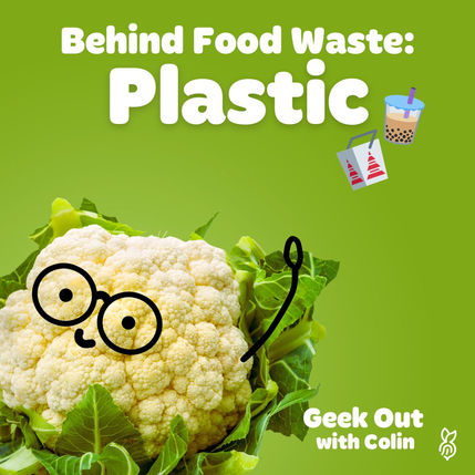 Behind Food Waste: Plastic