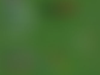 Descargar Marcadores Con Team Names Para Pes 6 14