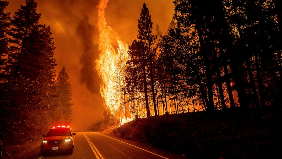 Dangerous fires have plagued many parts of the world.