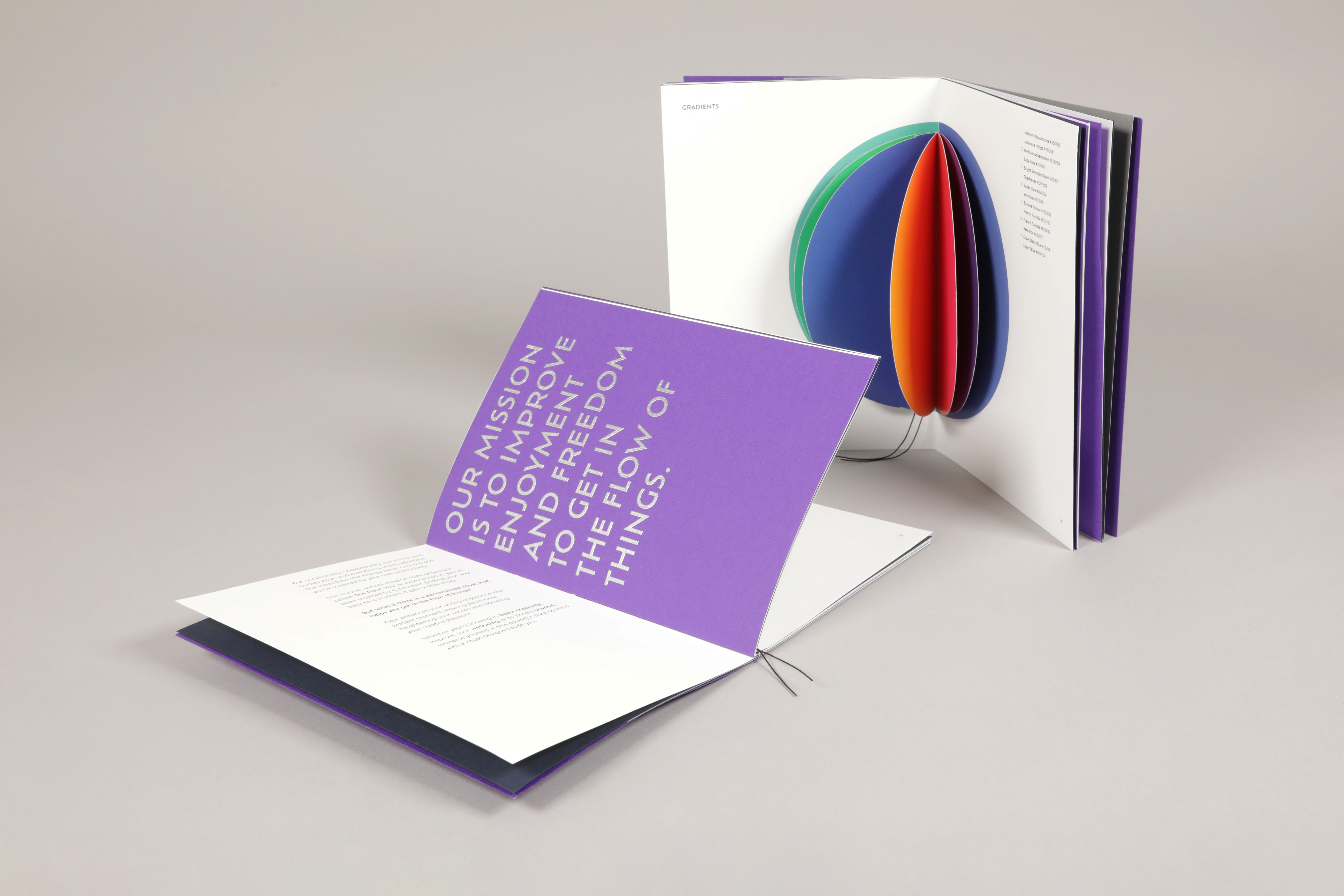 sabi_bisi_flow_brandbook_1.png