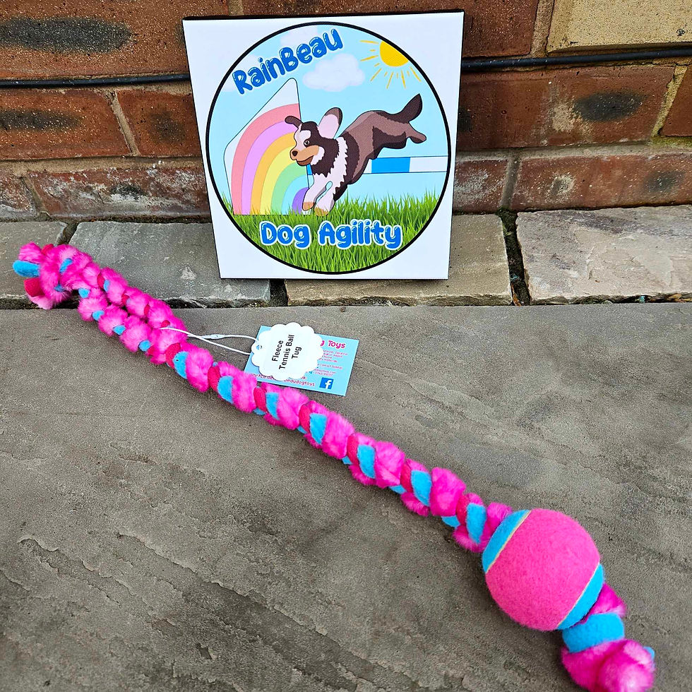 Thumbnail: Tennis Ball Tug