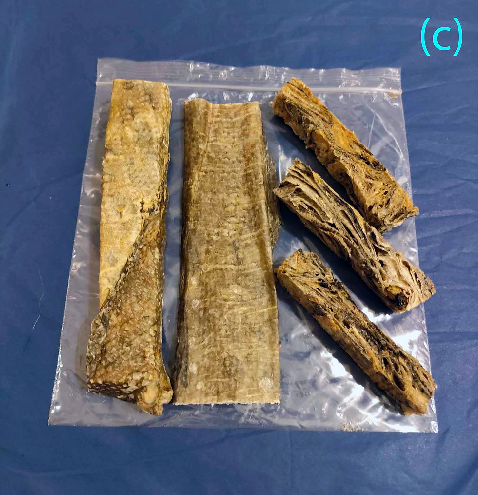 Thumbnail: Fish Treat Bundles