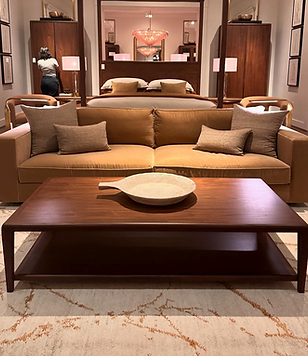 Professional care steps for Bhadohi handmade and handtufted rugs