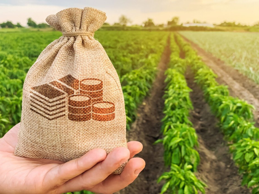 পুরনো জমি-বাড়ি কিনছেন ও বেচেছেন? মোটা টাকা ট্যাক্স বাঁচাতে কী করবেন?