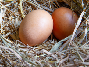 Episode 18 - Ways to ‘know’ (& NOT know) when you ovulate.