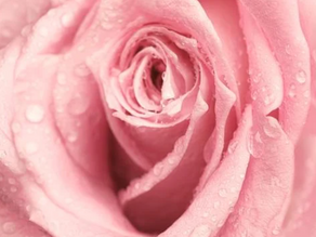 What is Vaginismus?