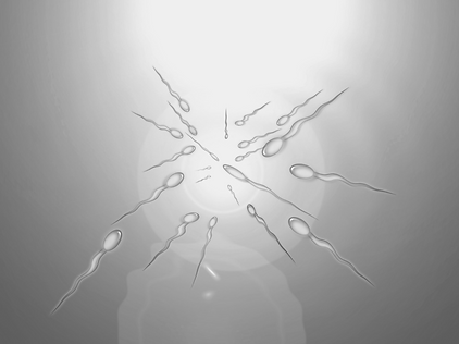 Screen Shot 2021-03-07 at 9.05.29 pm.png