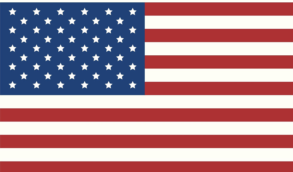 FLAG US.jpg