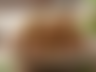 Boulettes de Dinde aux Herbes