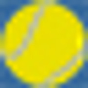 Rancho Niguel Tennis Academy logo
