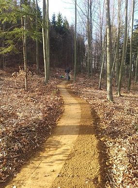 Burgenland trails in Austria, Dolomiti Bike Company trail builders e trail building, progettazione, realizzazione e manutenzione sentieri e trail bici, mountain bike, bike park, MTB, Italia