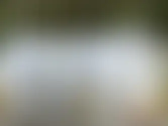 citerne a mazout blanche en exterieur securisé avec un grillage