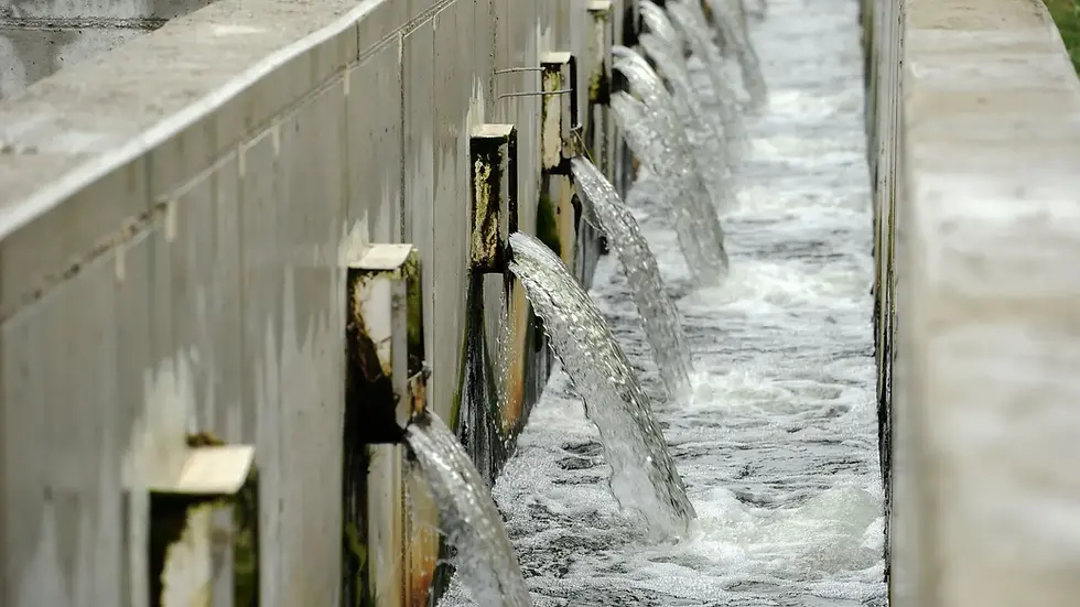 rejets d'eaux industrielles d'une station de traitement des eaux