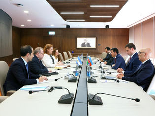 Обсуждены вопросы развития экономического сотрудничества между Азербайджаном и Аргентиной