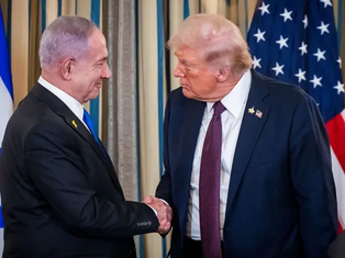 4 Surprising Stories You Might Have Missed: From Trump's Gaza Plan to a Fake Medals Scandal