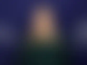 OSCE Chair and Finnish Foreign Minister Fined $1,800 in Georgia for Attending Protest