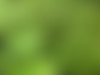 2 tona yaxın yabanı halda bitmiş çətənə kolları məhv edilib