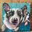 Thumbnail: 11 x 14 Pet Commission - Acrylic painting