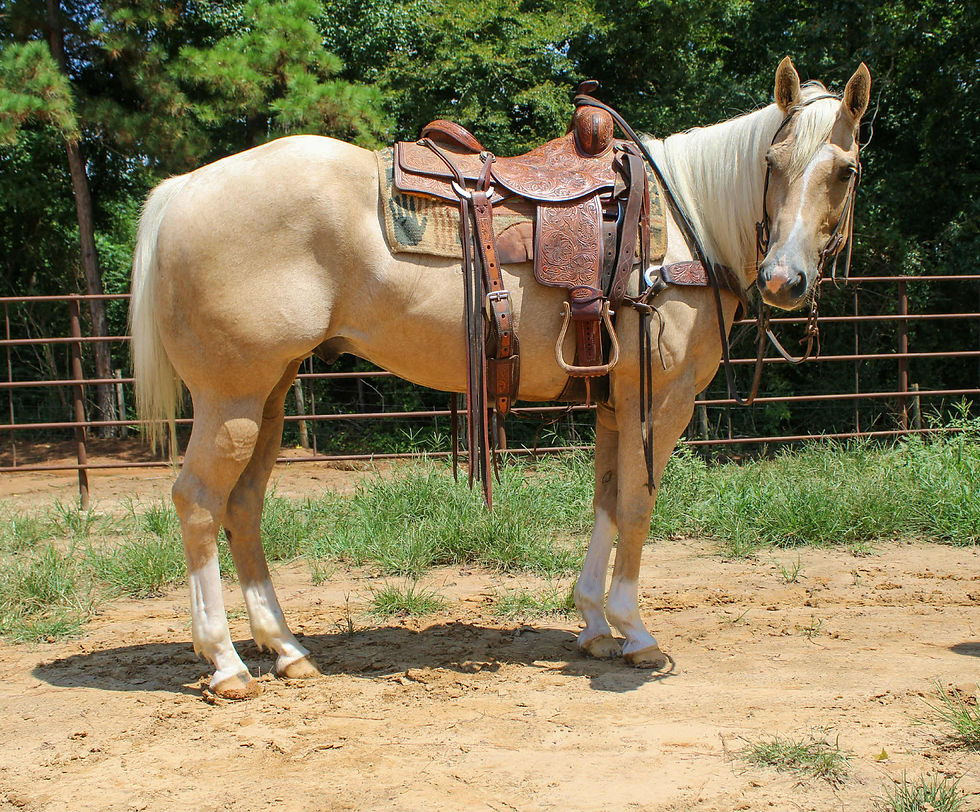 Chex
