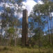Mt Clara Copper Chimney