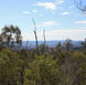 Black Snake Mountain