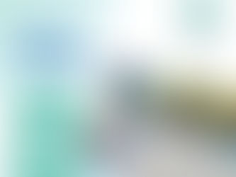 農曆新年及元宵佳節活動