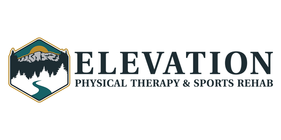 ElevationPT_Logo_Horizontal_Color-Navy.png