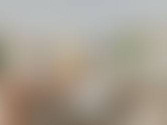 8 Rosemont Drive, Narre Warren.