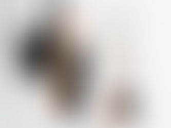 5 tips for a dust-free home.