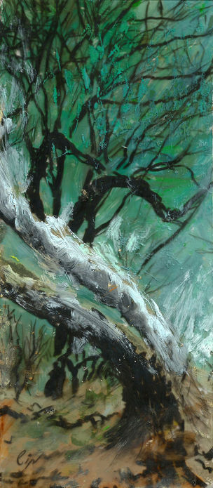 נוף ריינבואו 2.jpg