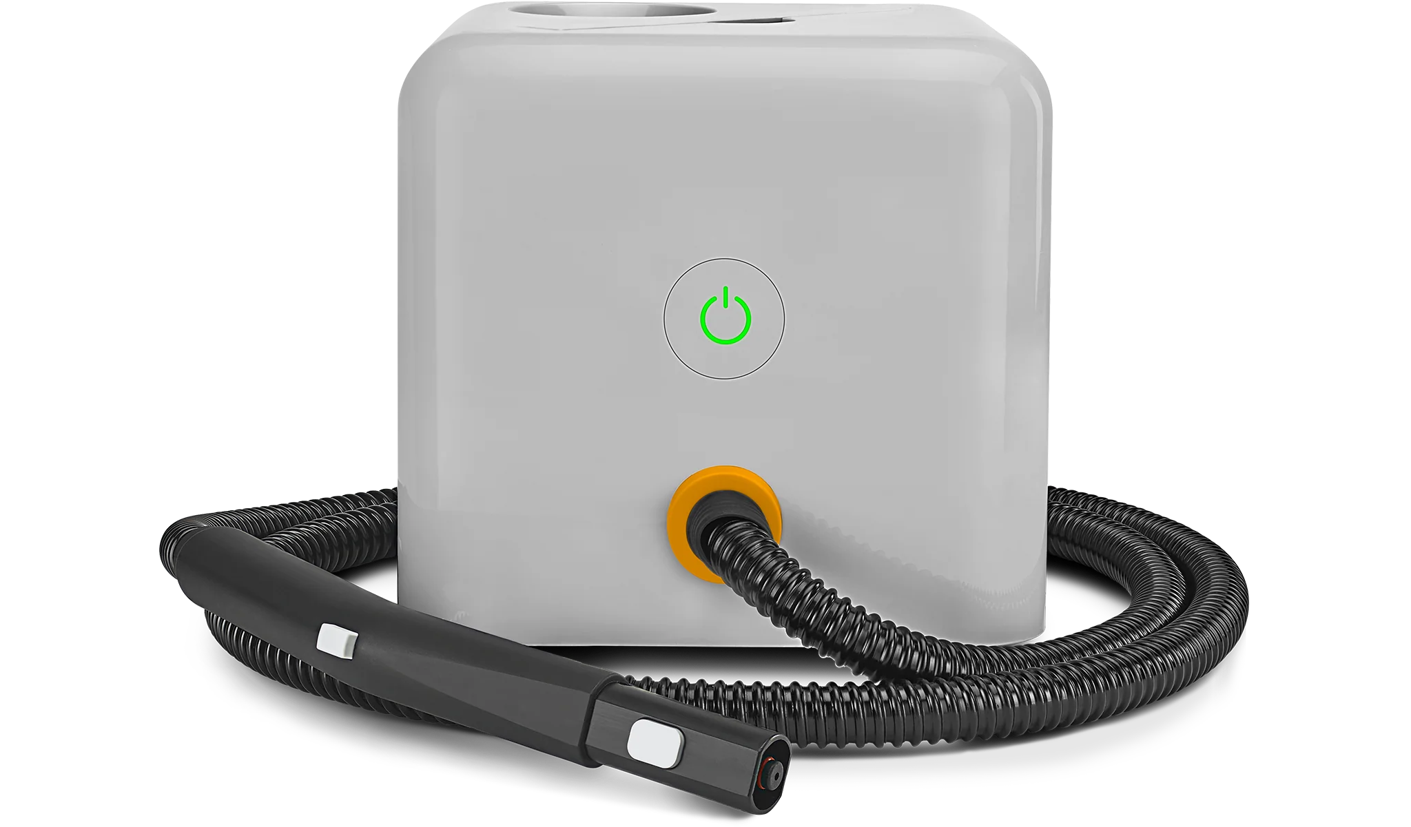 Professional Steamer