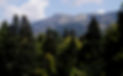 Valsain_Valle.jpg