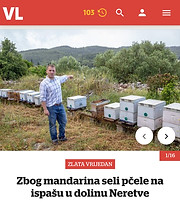 Screenshot_20200730-160724_Samsung Inter