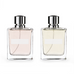 The Basic Technical  Knowledge on Perfume : summarized from the scientific works of Edmond Roudnitsk