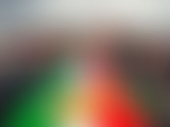 Iranian Diaspora, Reza Pahlavi